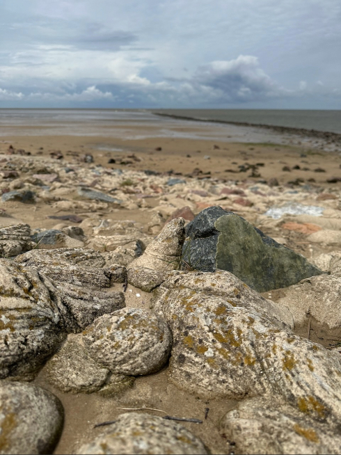 Strand